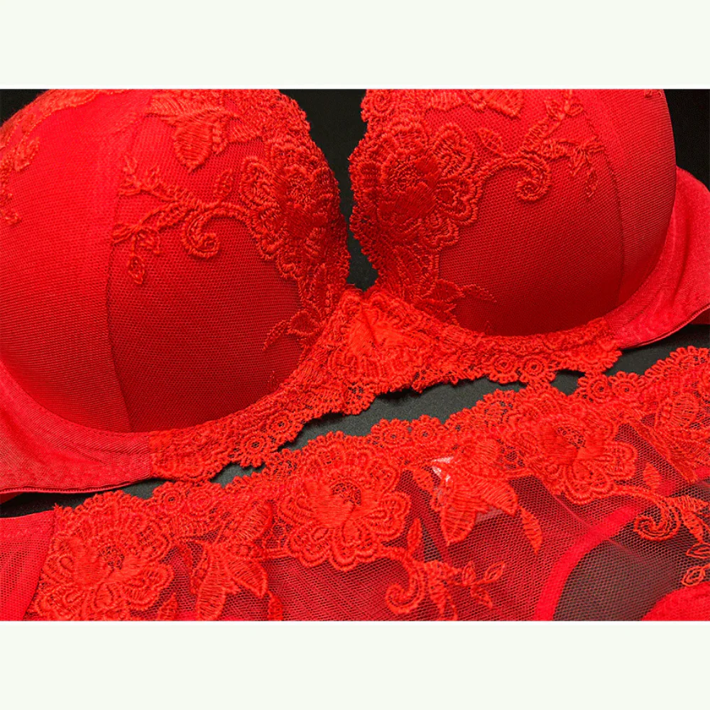 Lightly Padded Fancy Bra with Matching Panty – Red | RAKS